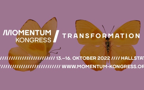 gelber Schmetterling auf lile Hintergrund: Momentum Transformation, 13.-16.Oktober 2022